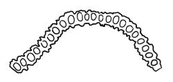 Macromitrium helmsii, cross-section of upper laminal cells.
 Image: R.C. Wagstaff © All rights reserved. Redrawn with permission from Vitt (1983). 